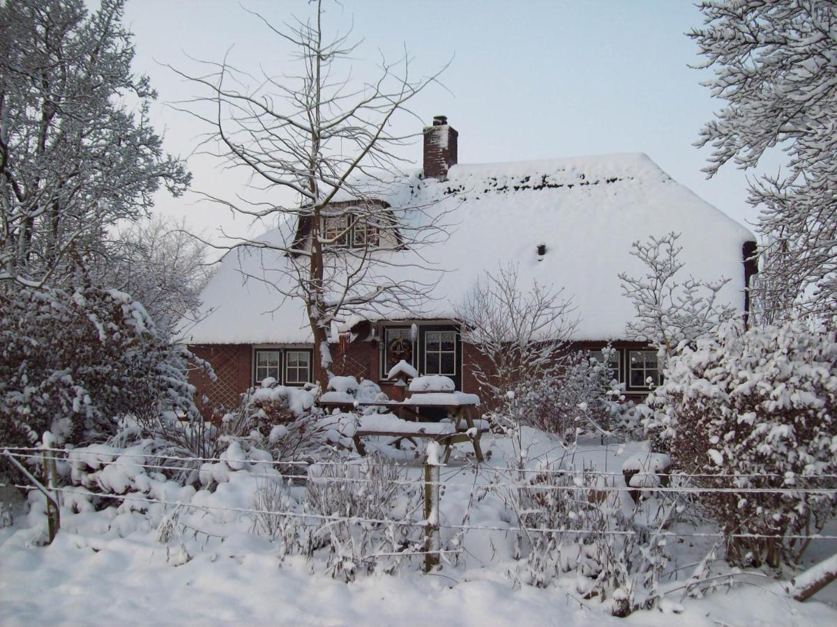 Anton'S Erfje Dalfsen Exterior photo