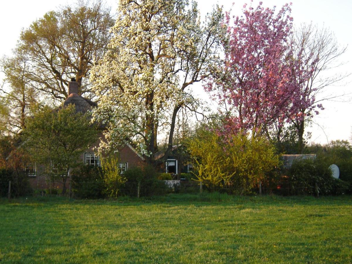 Anton'S Erfje Dalfsen Exterior photo